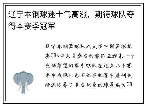 辽宁本钢球迷士气高涨，期待球队夺得本赛季冠军